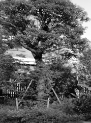 黎城注册公司